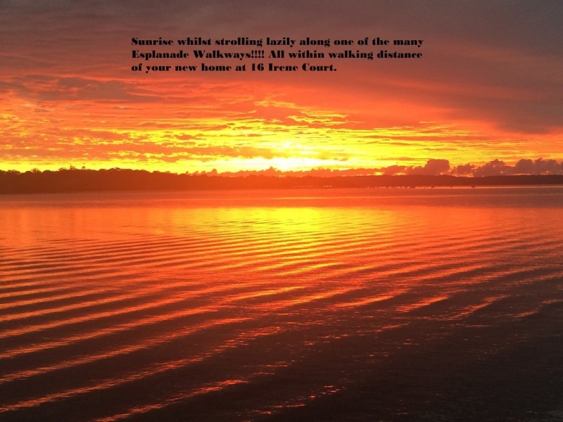 16 Irene Court, Redland Bay QLD 4165