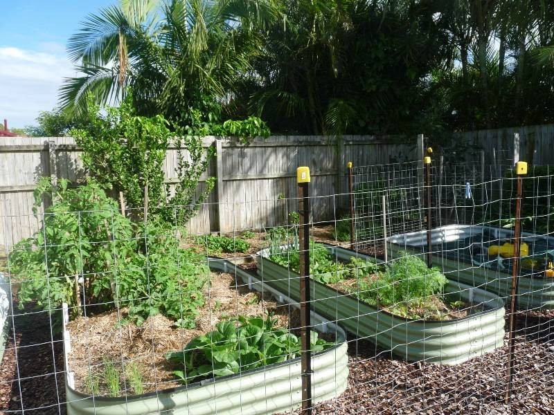 8  Ryan Court, Victoria Point QLD 4165