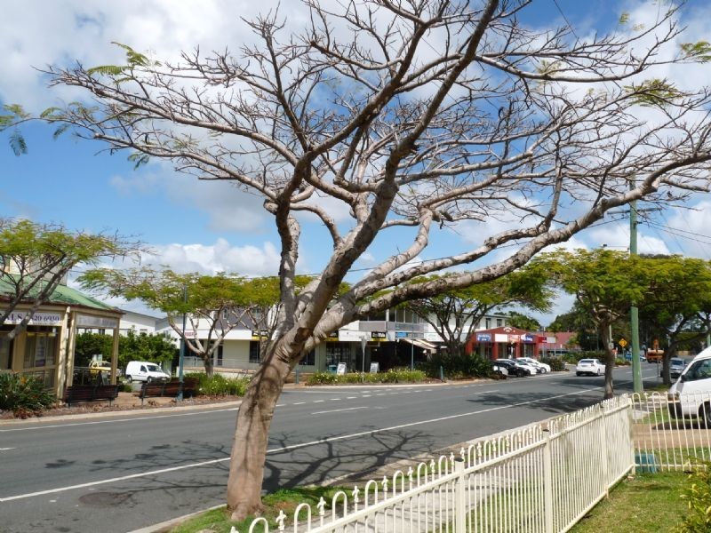 116 Colburn Avenue, Victoria Point QLD 4165