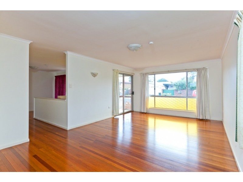 26 Haig Road, Birkdale QLD 4159