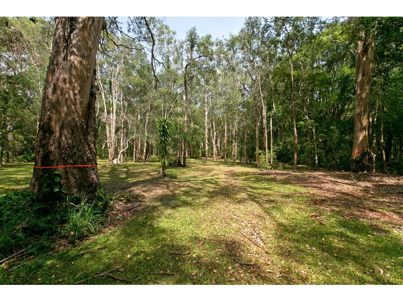 40 Rose Street, Ormiston QLD 4160