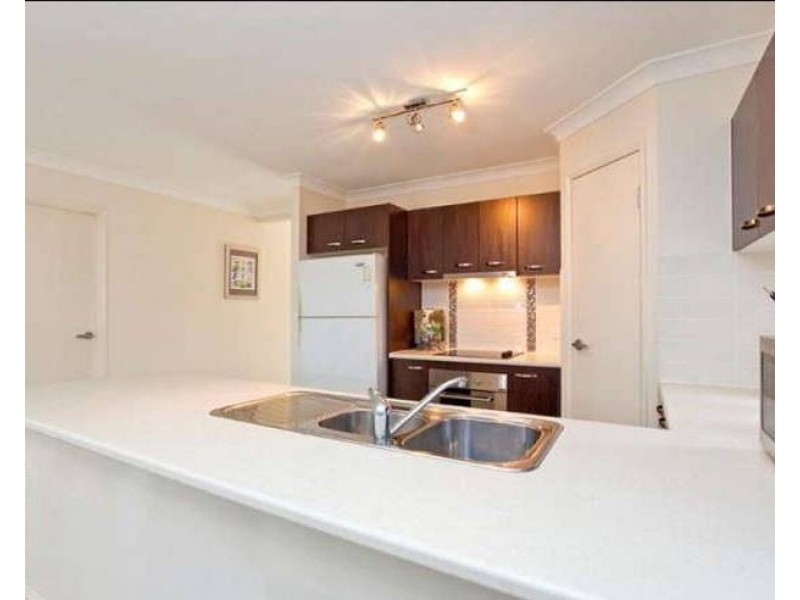 16 Butternut Circuit, Thornlands QLD 4164