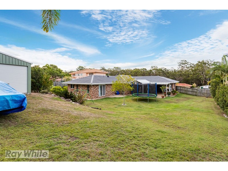 31 Hanover Drive, Alexandra Hills QLD 4161