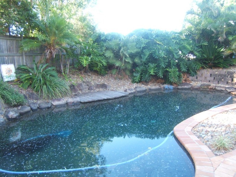 35 Wren Street, Birkdale QLD 4159