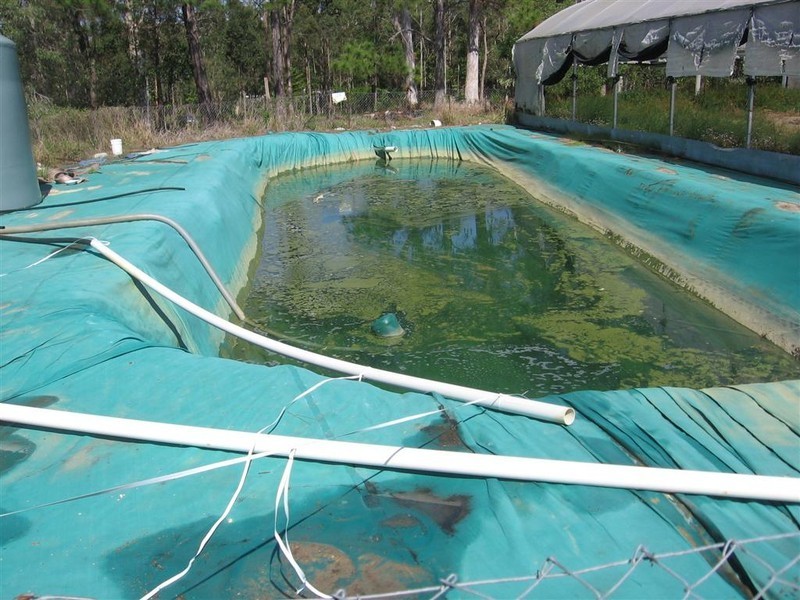 Carbrook QLD 4130