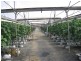 Carbrook QLD 4130