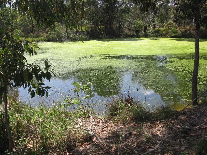 Carbrook QLD 4130
