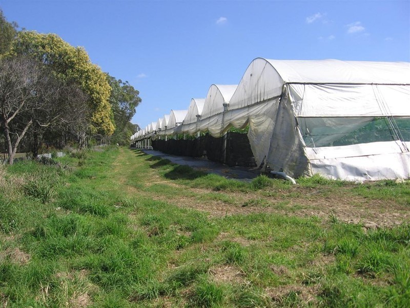 Carbrook QLD 4130