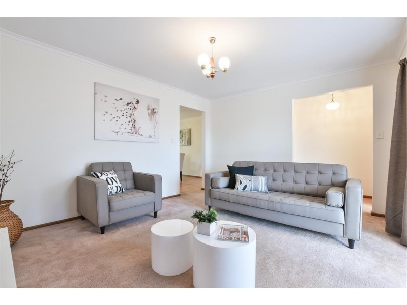 17 Cashel Street, Pasadena SA 5042