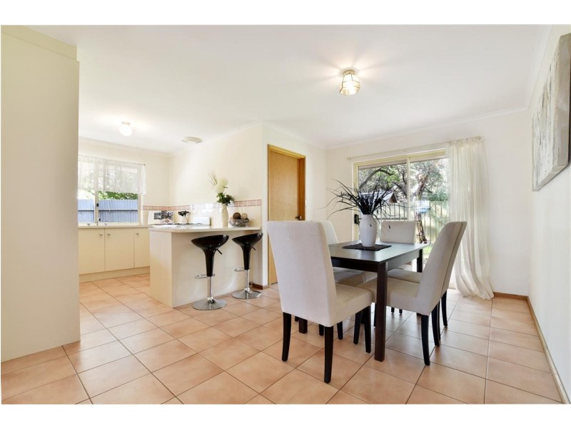 17 Cashel Street, Pasadena SA 5042