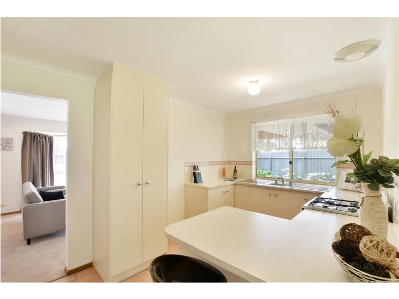 17 Cashel Street, Pasadena SA 5042