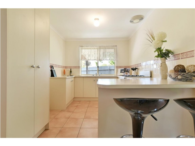 17 Cashel Street, Pasadena SA 5042