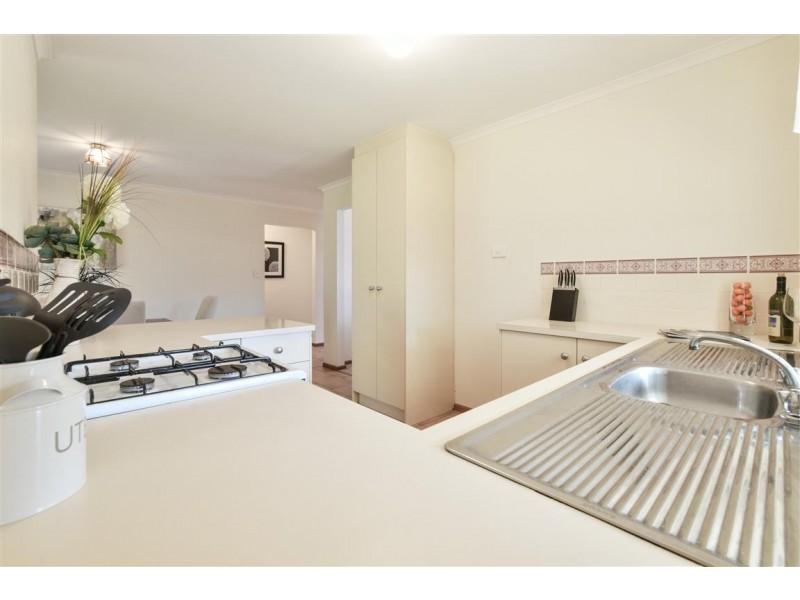 17 Cashel Street, Pasadena SA 5042