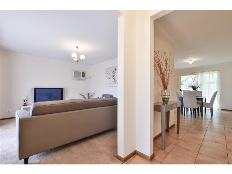 17 Cashel Street, Pasadena SA 5042