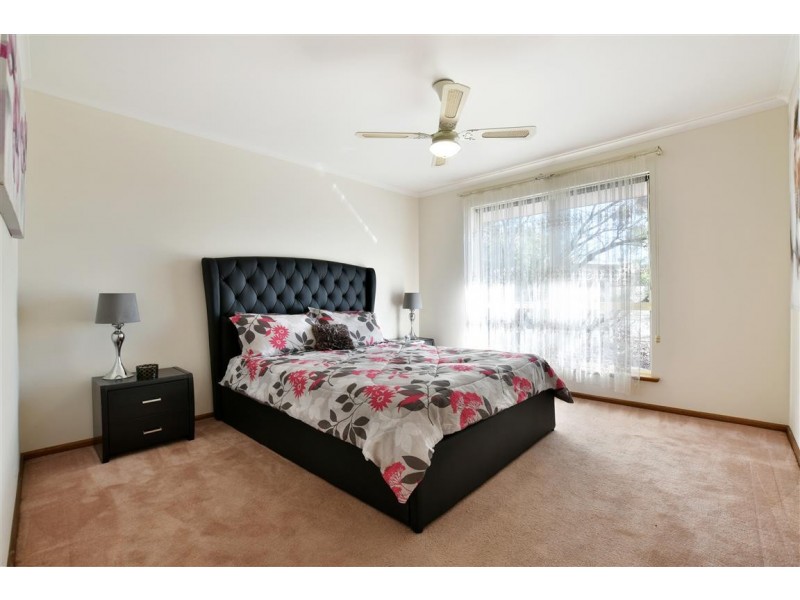 17 Cashel Street, Pasadena SA 5042