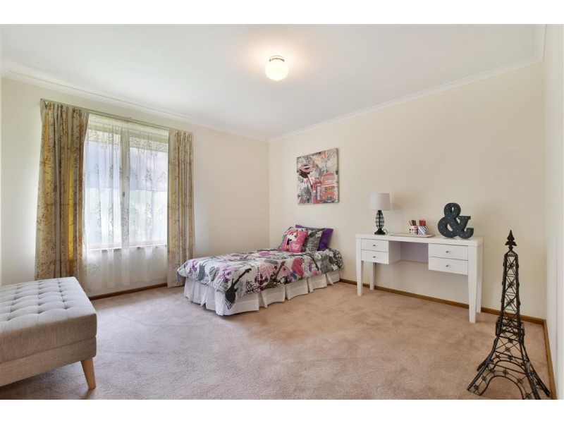 17 Cashel Street, Pasadena SA 5042