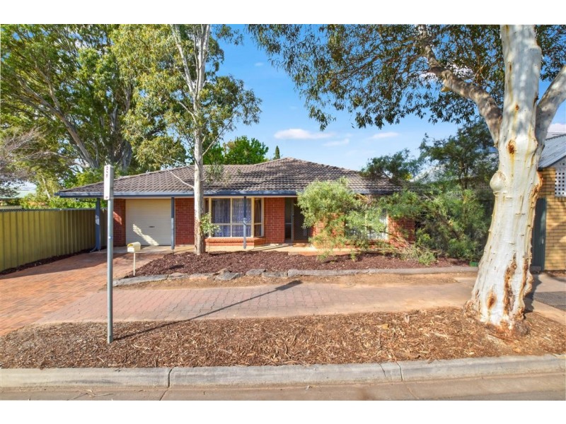 17 Cashel Street, Pasadena SA 5042