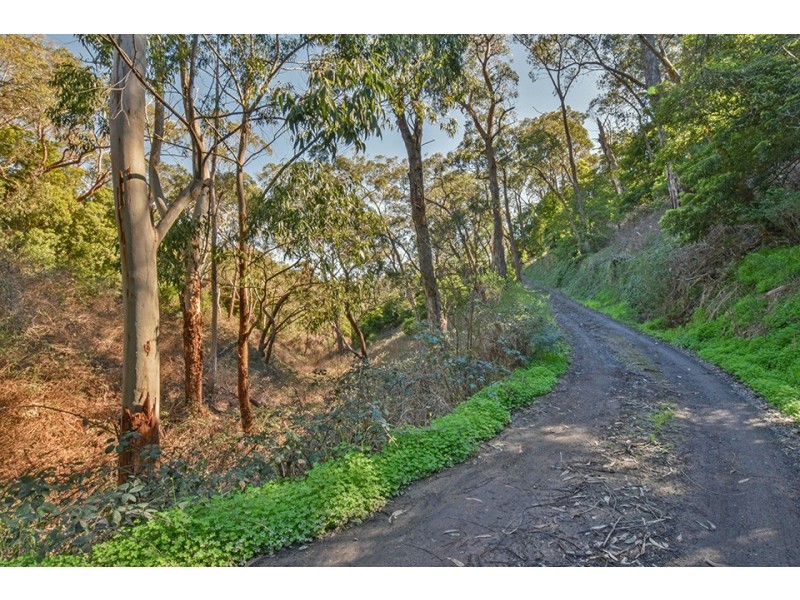24 Parkgate Place, Upper Sturt SA 5156
