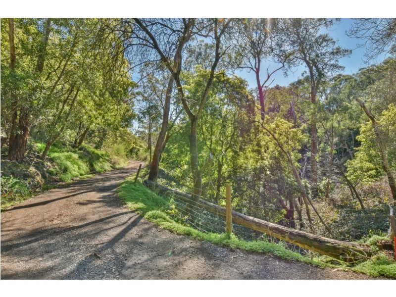 24 Parkgate Place, Upper Sturt SA 5156