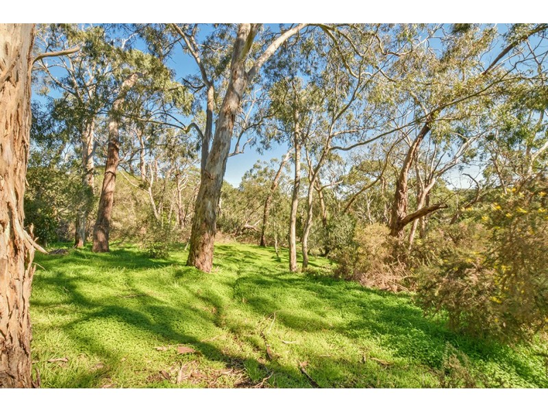 24 Parkgate Place, Upper Sturt SA 5156