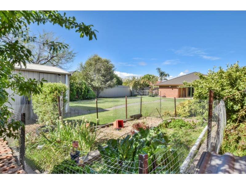 4 Douglas Street, Flinders Park SA 5025