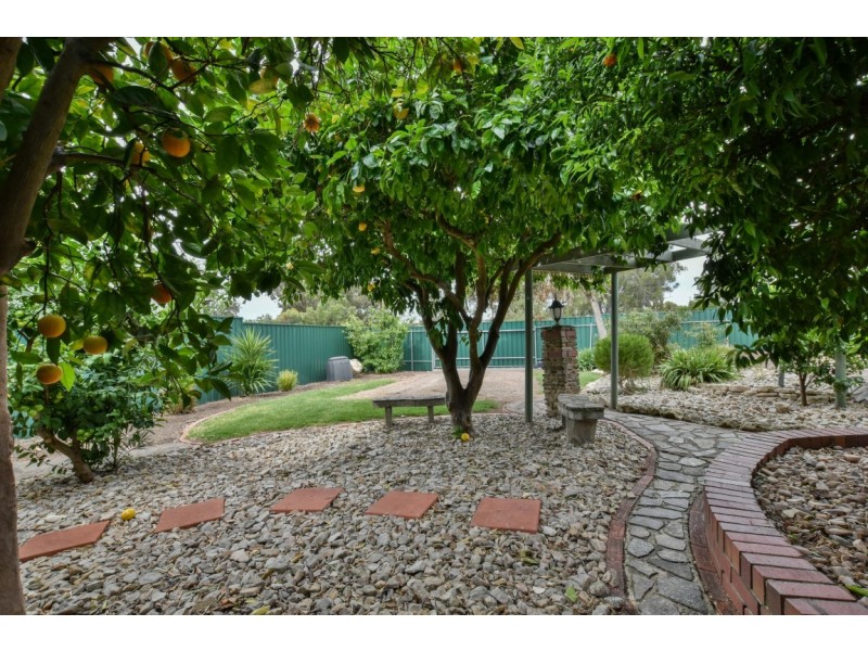 21 Ayre Street, Morphett Vale SA 5162