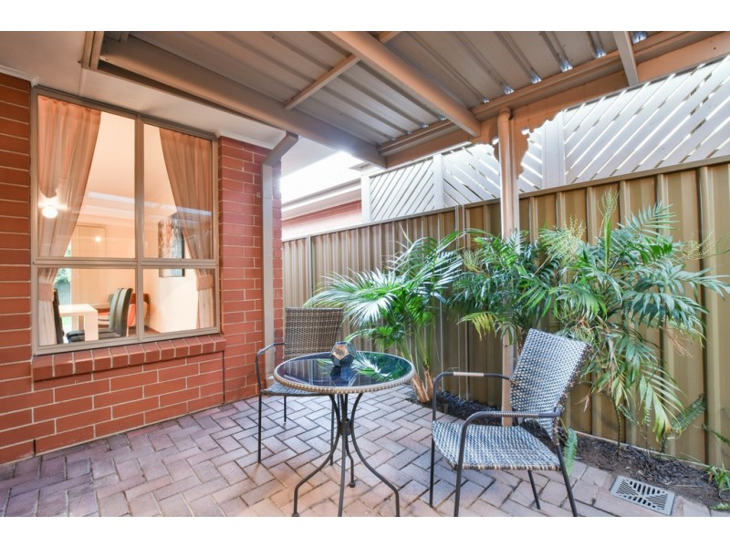 16B Frederick Street, Glengowrie SA 5044