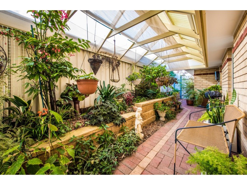 53 Chamberlain Drive, Christie Downs SA 5164
