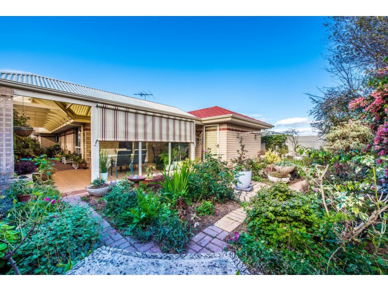 53 Chamberlain Drive, Christie Downs SA 5164
