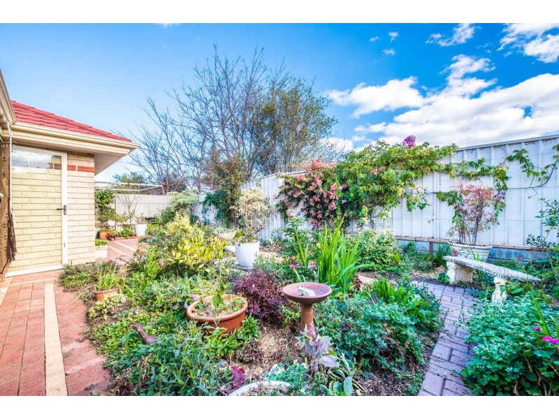 53 Chamberlain Drive, Christie Downs SA 5164