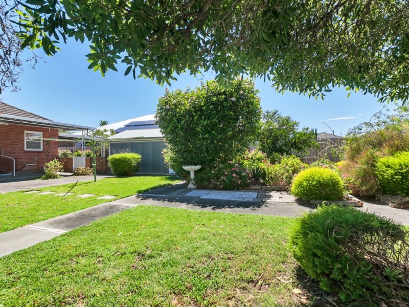 10 Bourlang Ave, Camden Park SA 5038