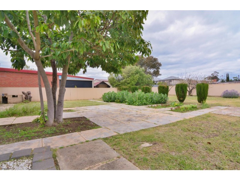 147 Raglan Avenue, South Plympton SA 5038