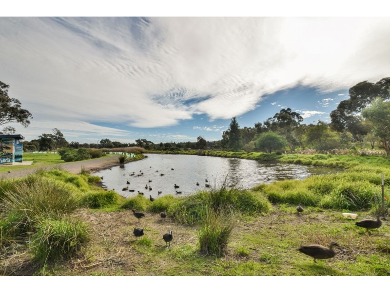 17 Conington Crescent, Morphett Vale SA 5162