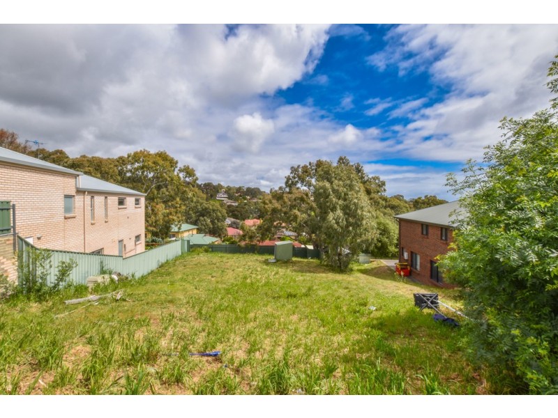 37a Coachwood Drive, Aberfoyle Park SA 5159
