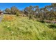 99 Daveys Road, Flagstaff Hill SA 5159