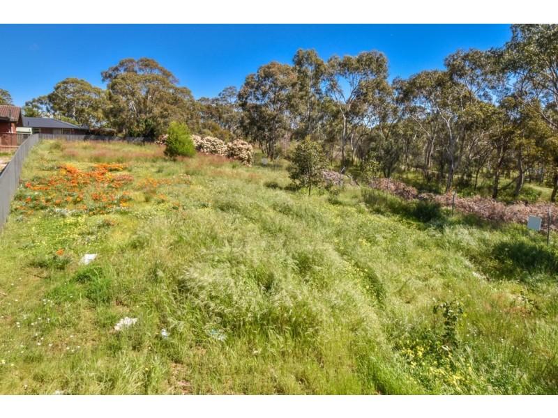 99 Daveys Road, Flagstaff Hill SA 5159