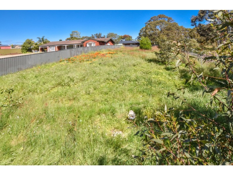 99 Daveys Road, Flagstaff Hill SA 5159