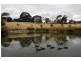 11 Glencoe Road, Reynella East SA 5161