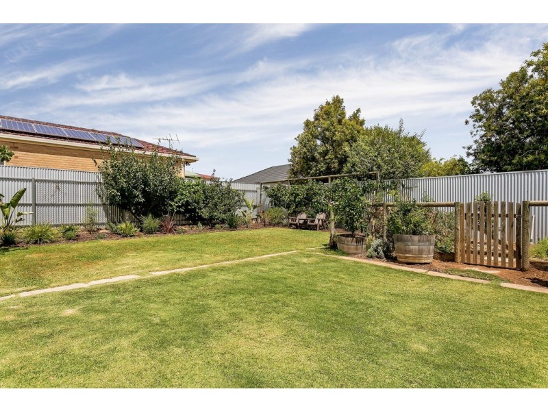 19 Falkirk Avenue, Seaton SA 5023