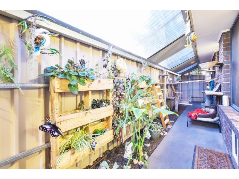 75 Barbados Drive, Seaford Rise SA 5169