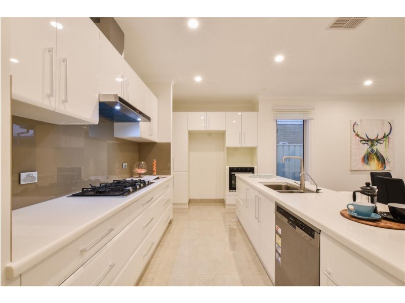 7 Jane Street, Marion SA 5043