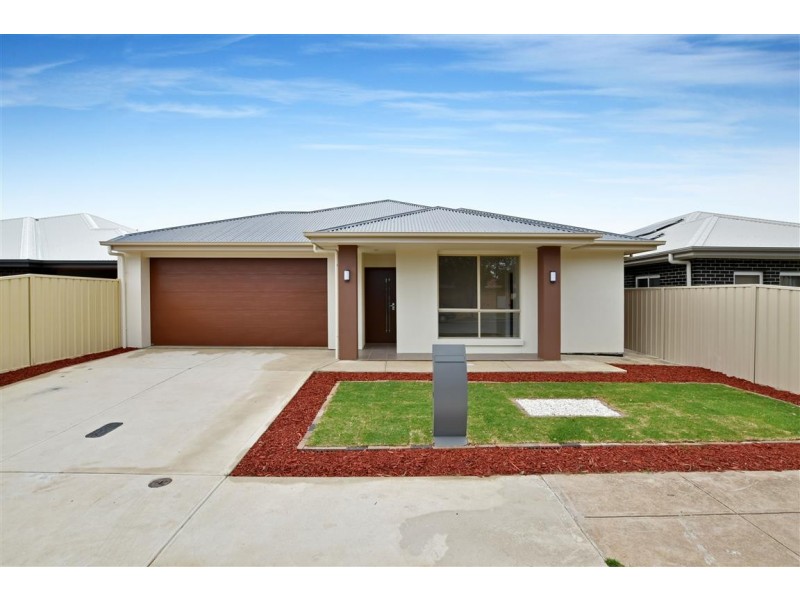 37 Clifton Street, Camden Park SA 5038