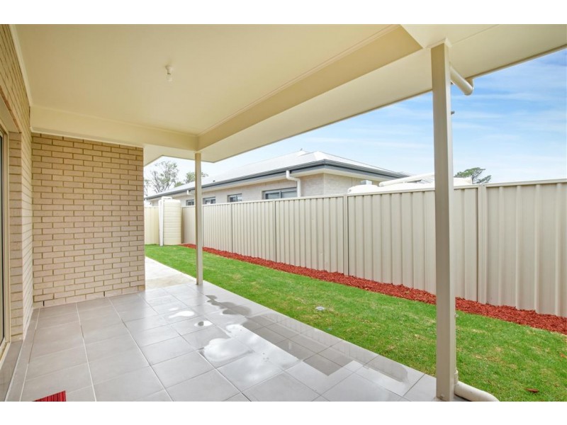 37 Clifton Street, Camden Park SA 5038