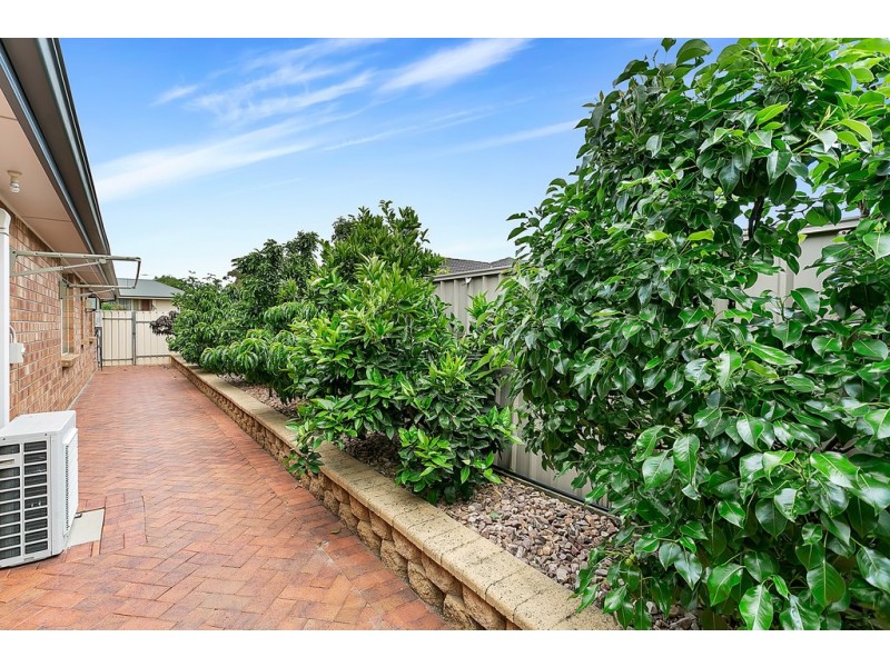 26 Simone Crescent, Morphett Vale SA 5162
