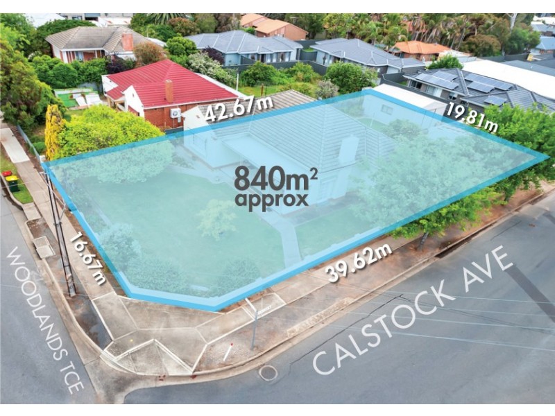 54 Woodlands Terrace, Edwardstown SA 5039