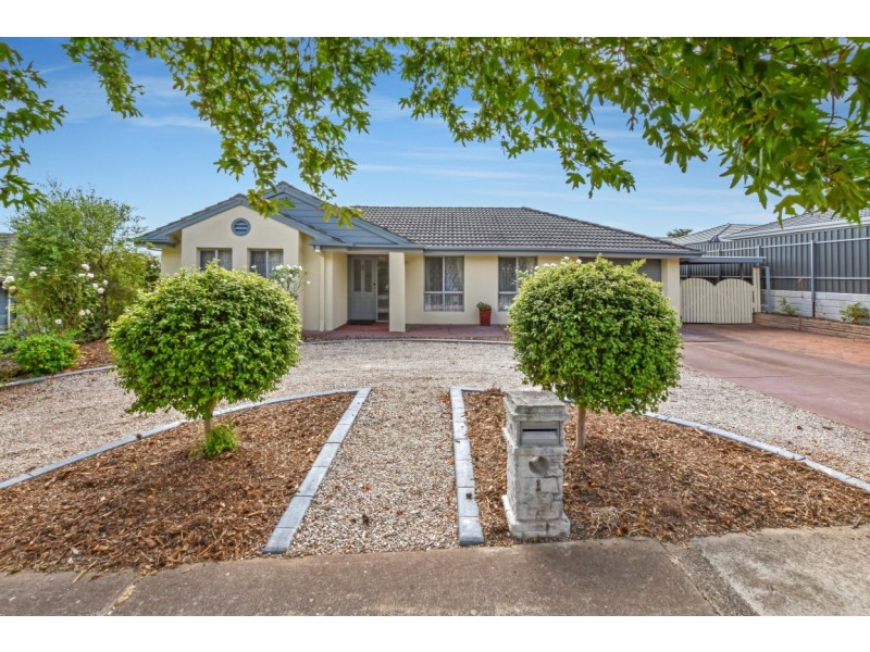 1 Young Street, Sheidow Park SA 5158