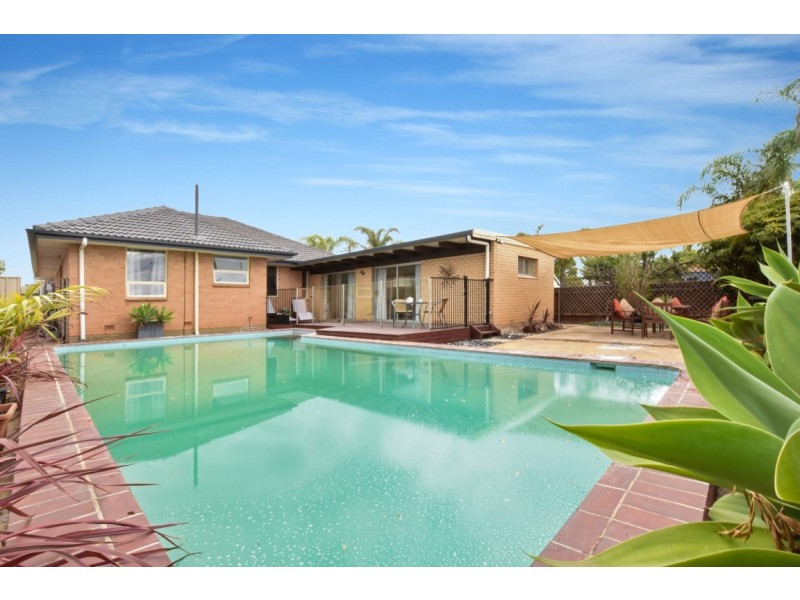 56 Macarthur Avenue, North Brighton SA 5048