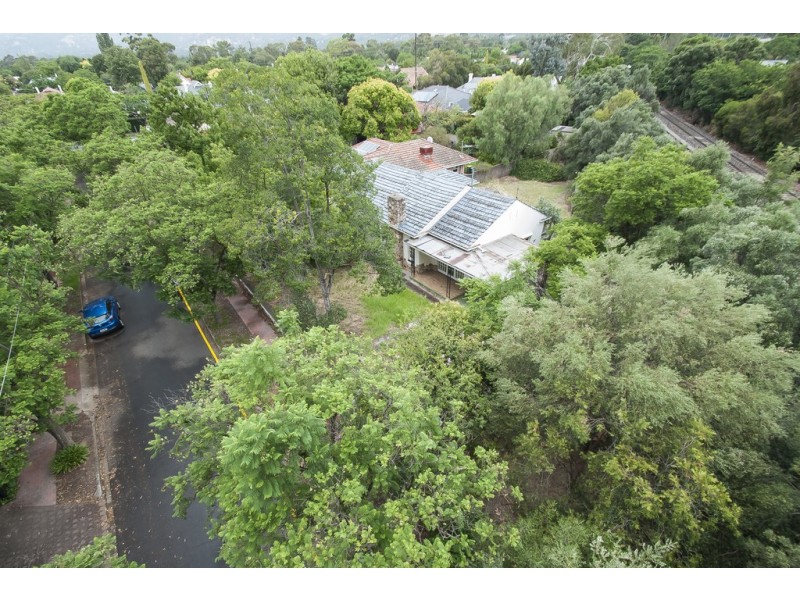 3 Wurilba Avenue, Hawthorn SA 5062