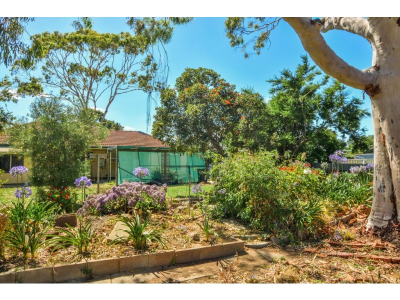 7 Ninnid Avenue, Morphettville SA 5043