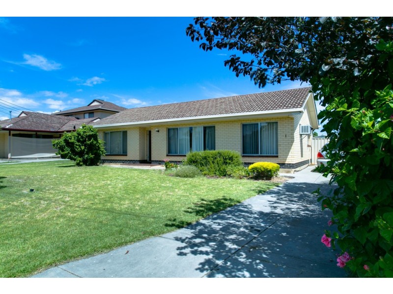 1 Pitcairn Avenue, Marion SA 5043